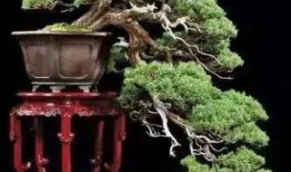 上九天揽月下五洋捉鳖