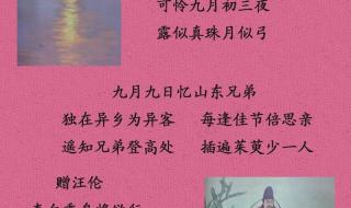 一道残阳铺水中下一句