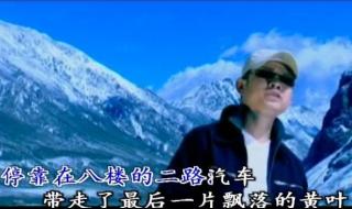 刀郎2002年的第一场雪