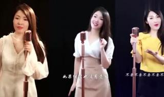一千个伤心的理由翻唱